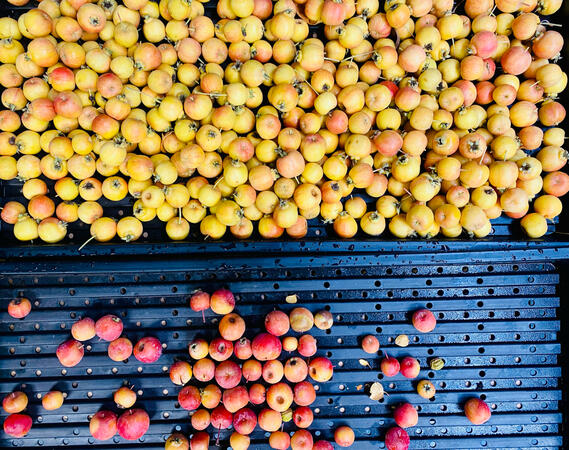 Zbiory do stratyfikacji